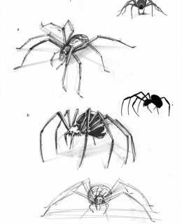 spinnencharakter1.1
